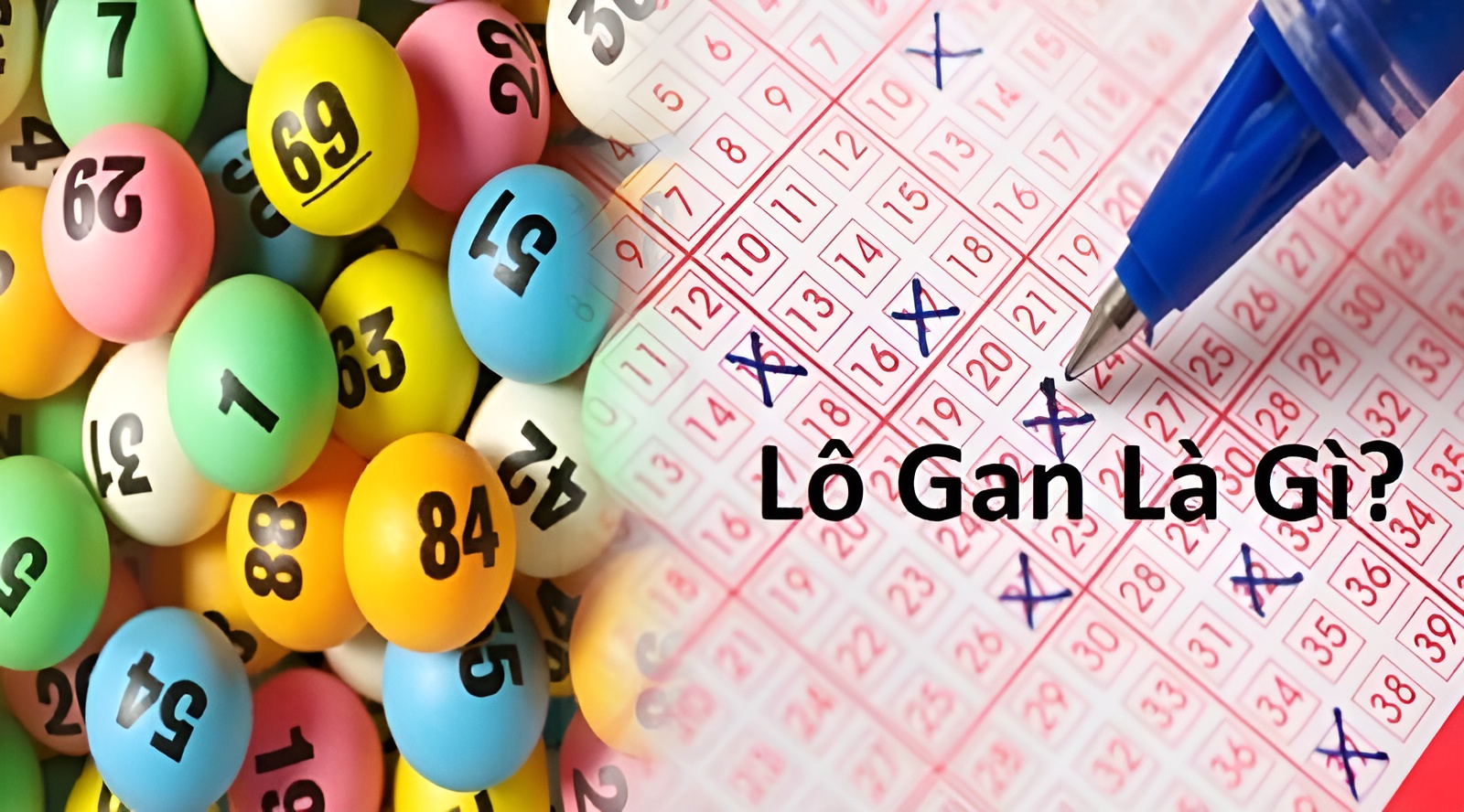 Lô gan miền Bắc là gì?