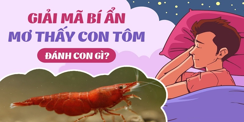 Gợi ý con số may mắn về giấc chiêm bao thấy tôm