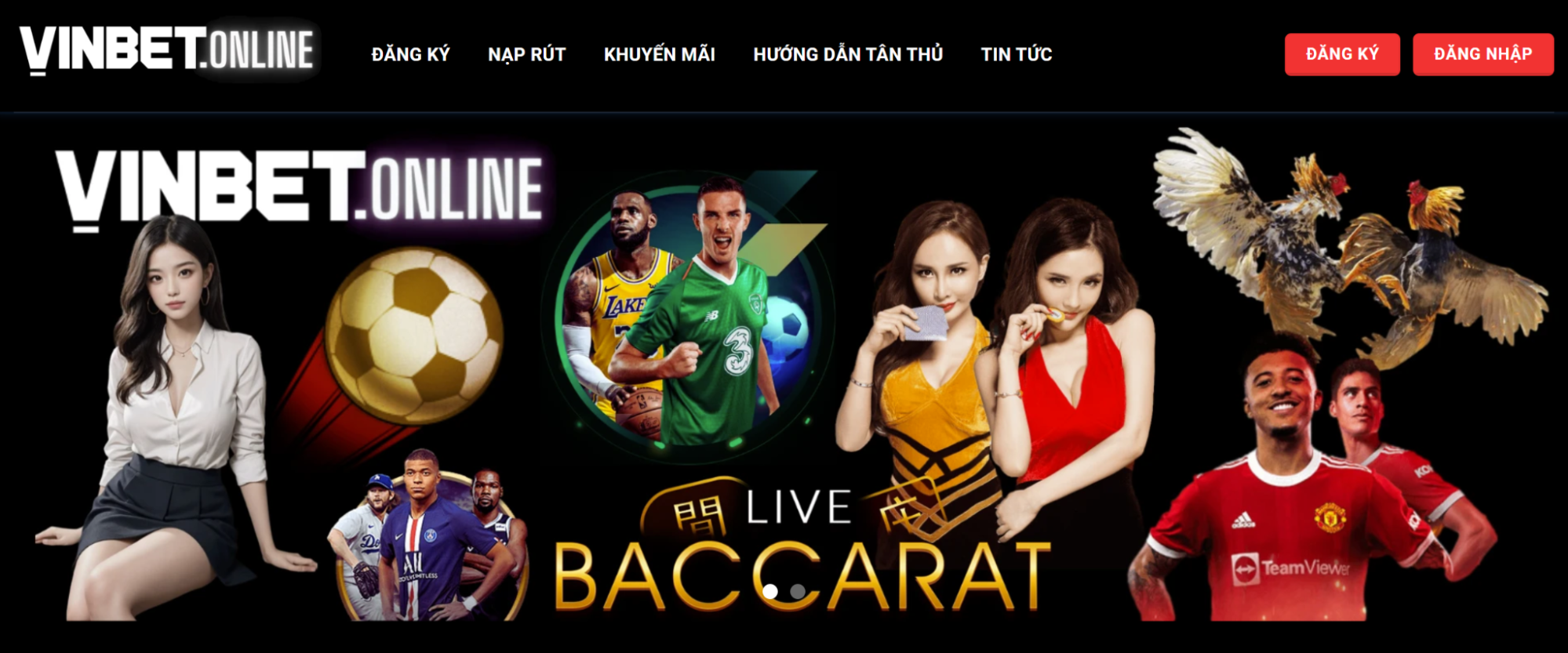 Chính Sách Hỗ Trợ Chuyên Nghiệp