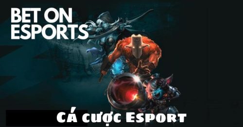 Cùng tìm hiểu cách cá cược thể thao điện tử 555win dễ hiểu cho tân thủ
