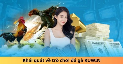 Khám Phá Thế Giới Đá Gà KUwin – Nơi Hội Tụ Đam Mê Và Kỹ Thuật