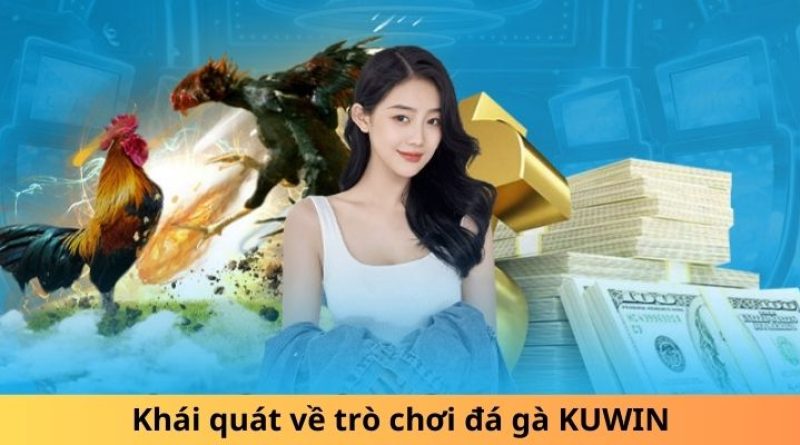 Khám Phá Thế Giới Đá Gà KUwin – Nơi Hội Tụ Đam Mê Và Kỹ Thuật