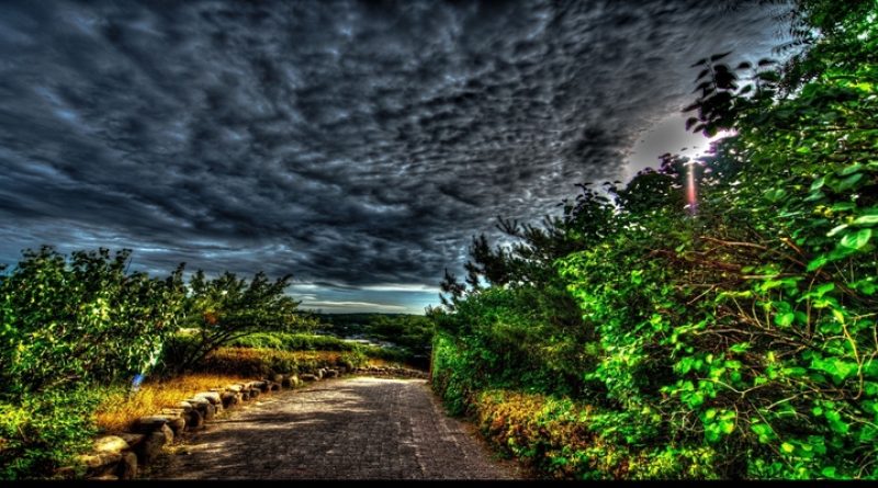 Ảnh Vẽ Tay – Bí Quyết Tạo Ra Tác Phẩm Nghệ Thuật Độc Đáo